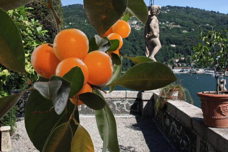 Stresa: Isola Bella Hop-on Hop-off Boat Tour - Customer Reviews and Ratings