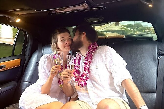 Stretch Limousine Private Transfer Around the Island of Maui - Included Amenities