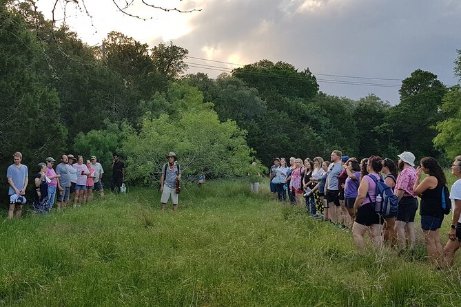 Strings in the Woods With Award Winning Austin Violinist - Key Points