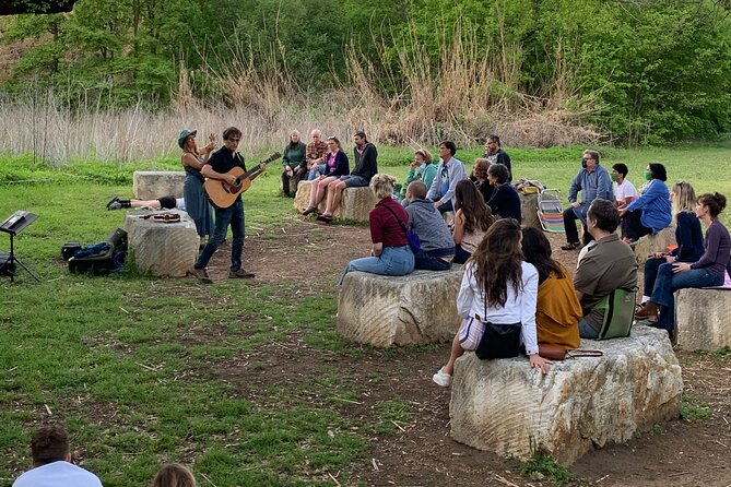 Strings in the Woods With Award Winning Austin Violinist - Accessibility Considerations