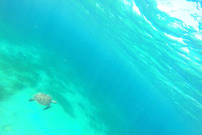 Stroll and Initiation to Sailing in the Baie Des Saintes - Local Culture and Hospitality