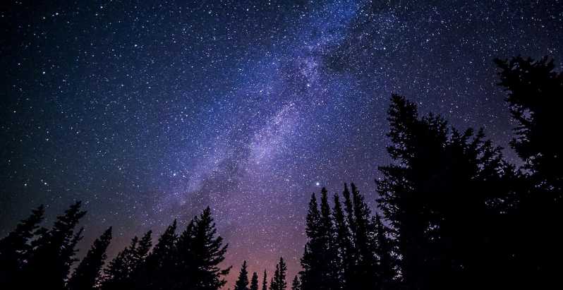 Stroll Under the Stars : Stargazing and Astronomy Tour - Experience Highlights