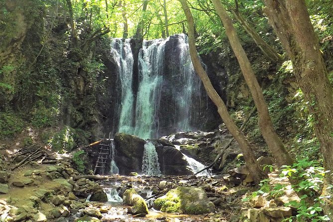 Strumica Monasteries and Waterfalls Tour From Skopje - About Your Stay