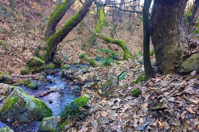 Strumica Monasteries and Waterfalls Tour From Skopje - Whats Included