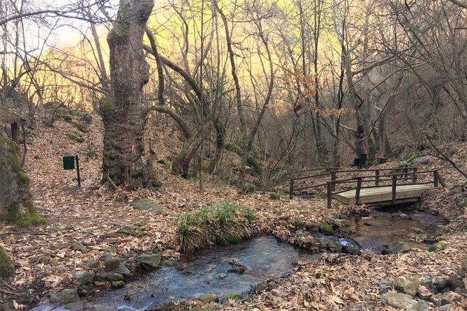Strumica Monasteries and Waterfalls Tour From Skopje - Cancellation Policy
