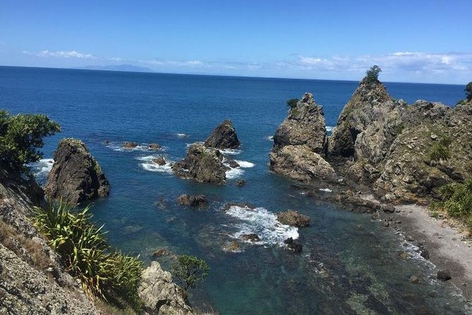 Stunning Auckland East Coast Walk & Wine Private Tour - Pickup Information