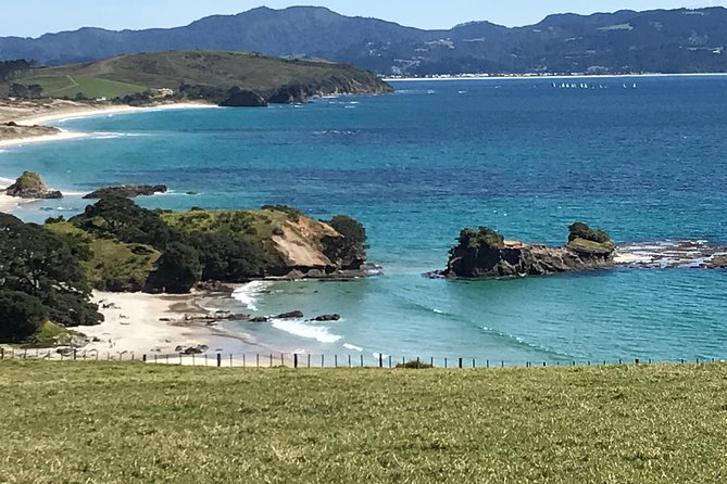 Stunning Auckland East Coast Walk & Wine Private Tour - Stunning Auckland Scenery