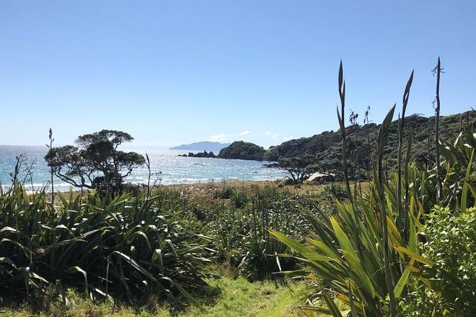 Stunning Auckland East Coast Walk & Wine Private Tour - Wine Tasting Experience