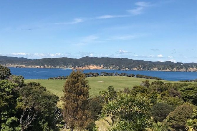 Stunning Auckland East Coast Walk & Wine Private Tour - Private Tour Details