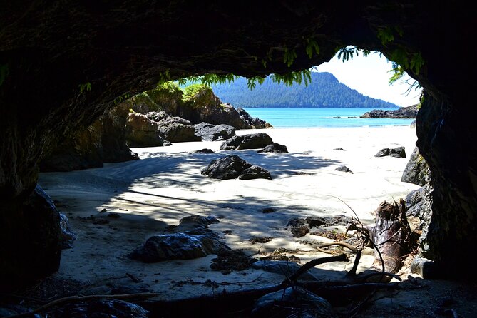 STUNNING San Josef Bay Tour in Cape Scott Provincial Park - Inclusions