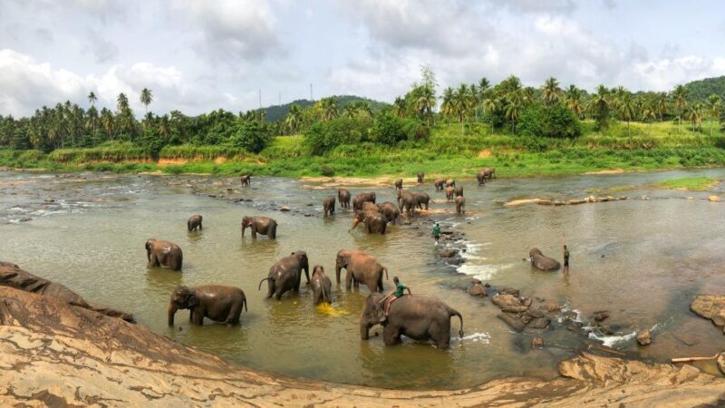 STUNNING SRI LANKA 15 DAYS & 14 NIGHTS TOUR - Cultural Sites