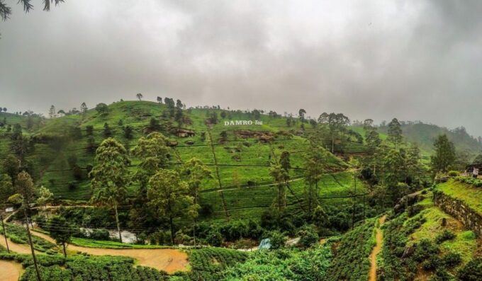 STUNNING SRI LANKA 15 DAYS & 14 NIGHTS TOUR - Not Suitable For