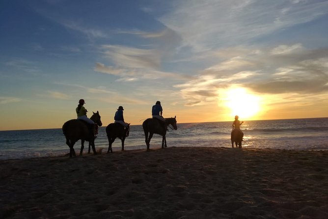Stunning Sundown Beach Ride ... on Horseback! - Reviews and Feedback