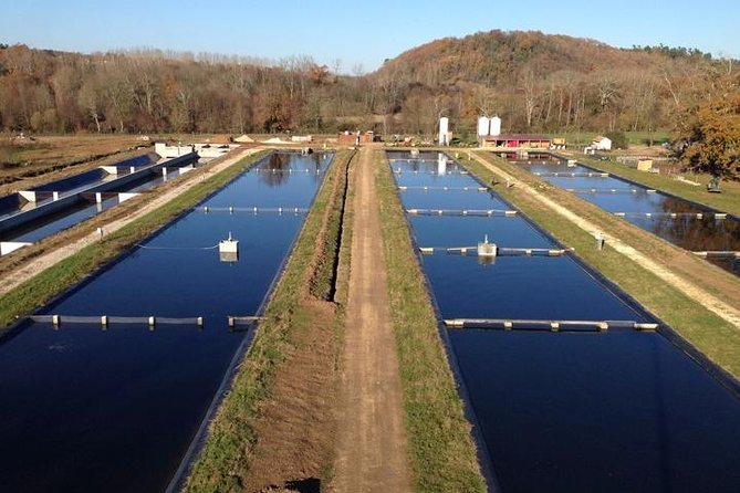 Sturgeon Fish-Farm Visit and Caviar Master Class Tasting in Neuvic - Tour Schedule and Timings