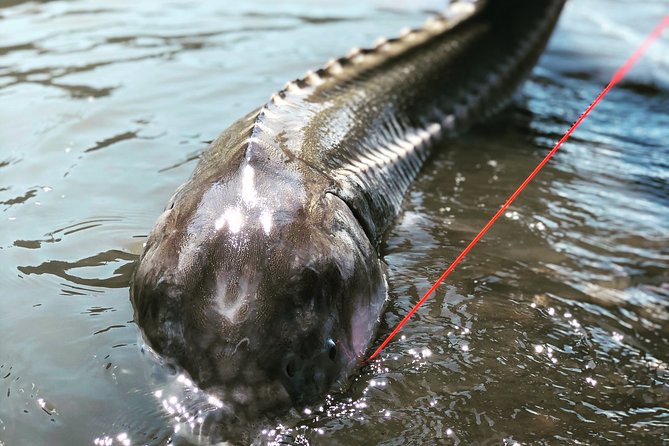 Sturgeon Fishing on the Fraser River - Booking and Cancellation Policy