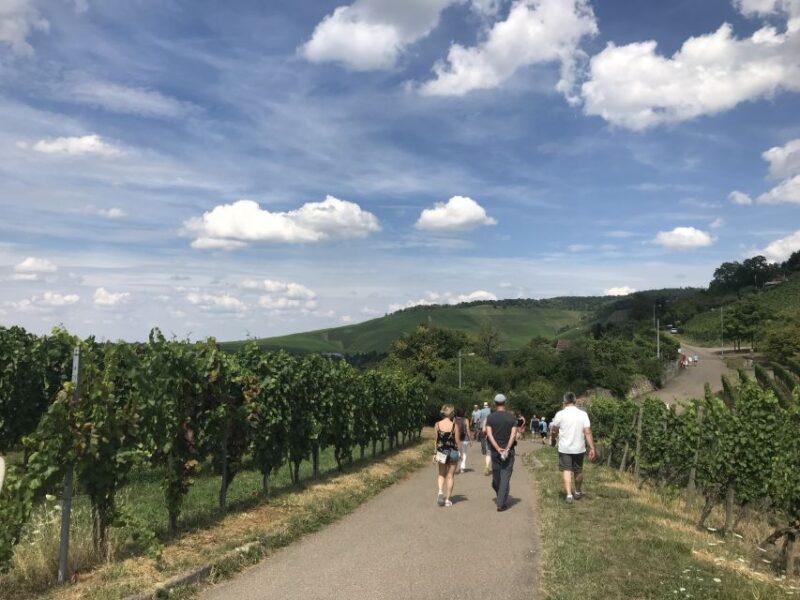 Stuttgart: 2-Hour Vineyard Hike With Tastings - Tour Details