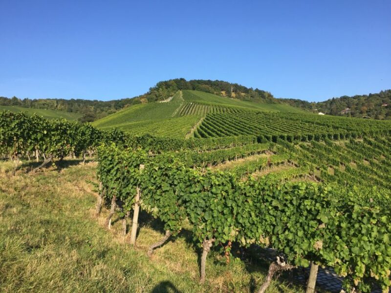 Stuttgart: 2-Hour Vineyard Hike With Tastings - Inclusions and Exclusions