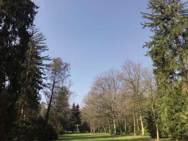 Stuttgart: Cable Car and Zacke Experience - Tour Highlights