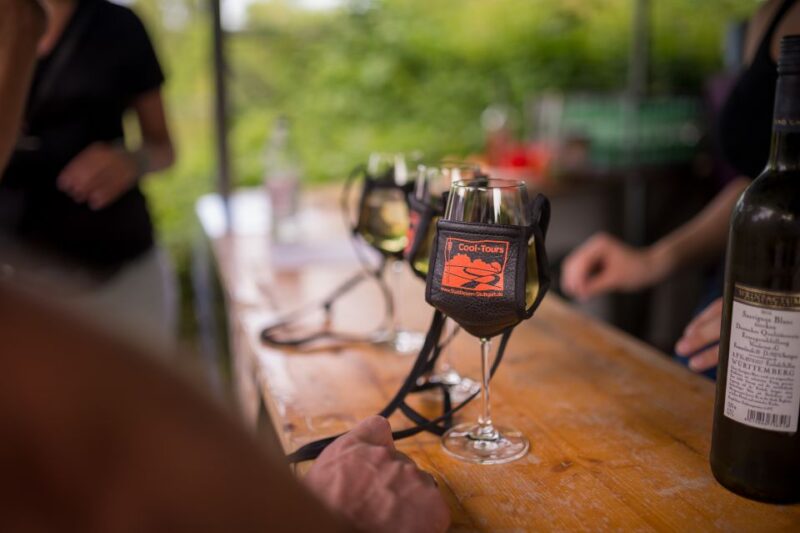 Stuttgart: Guided Vineyards Tour - Customer Feedback