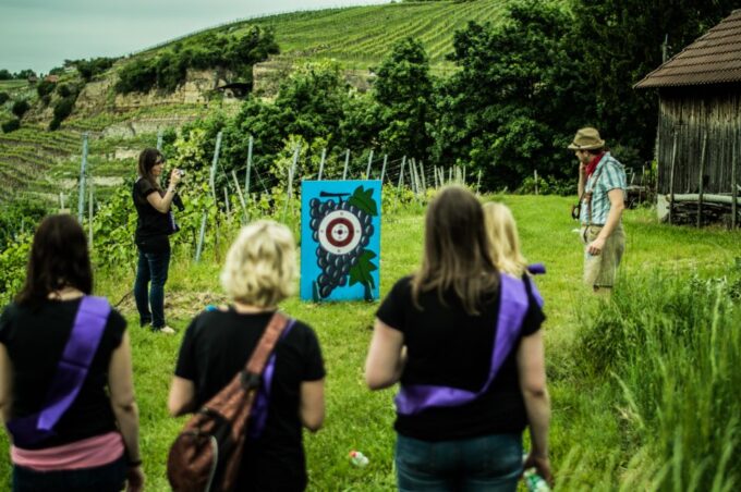 Stuttgart: Guided Vineyards Tour - Guided Hike Through Vineyards