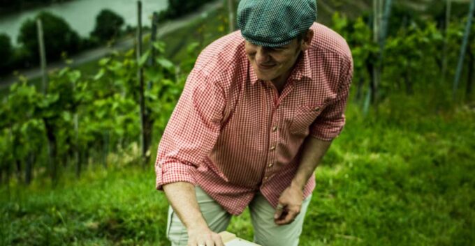 Stuttgart: Guided Vineyards Tour - Wine Tasting and Activities