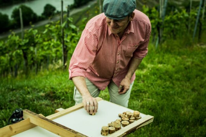 Stuttgart: Guided Vineyards Tour - Frequently Asked Questions