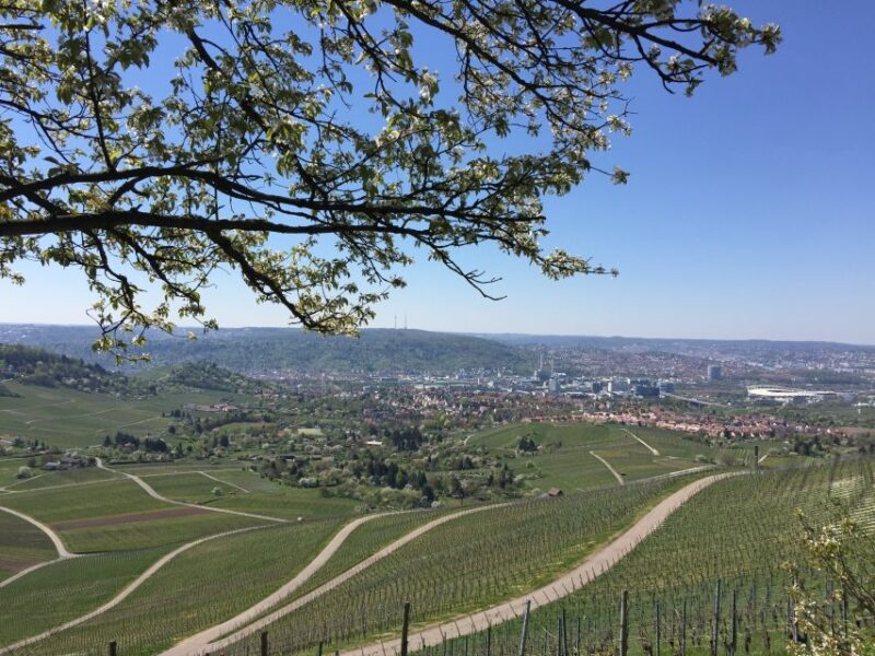 Stuttgart: Guided Wine Walk & Wine Tasting - Scenic Vineyards and Wine Trails