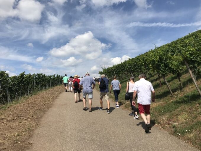 Stuttgart: Guided Wine Walk & Wine Tasting - Accessibility and Luggage Restrictions