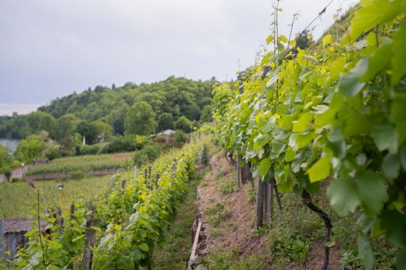 Stuttgart: Hiking Tour With Craft Beer Tasting - Meeting Point