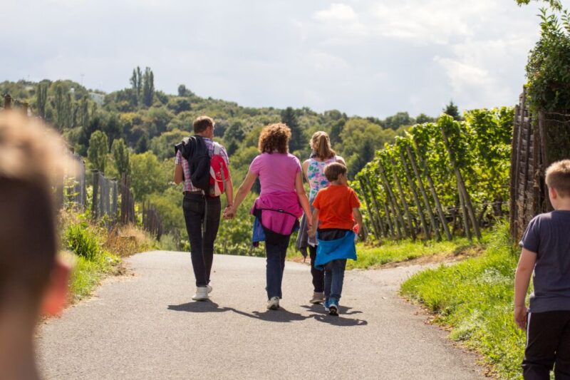 Stuttgart Nature Experience Day - Included Activities