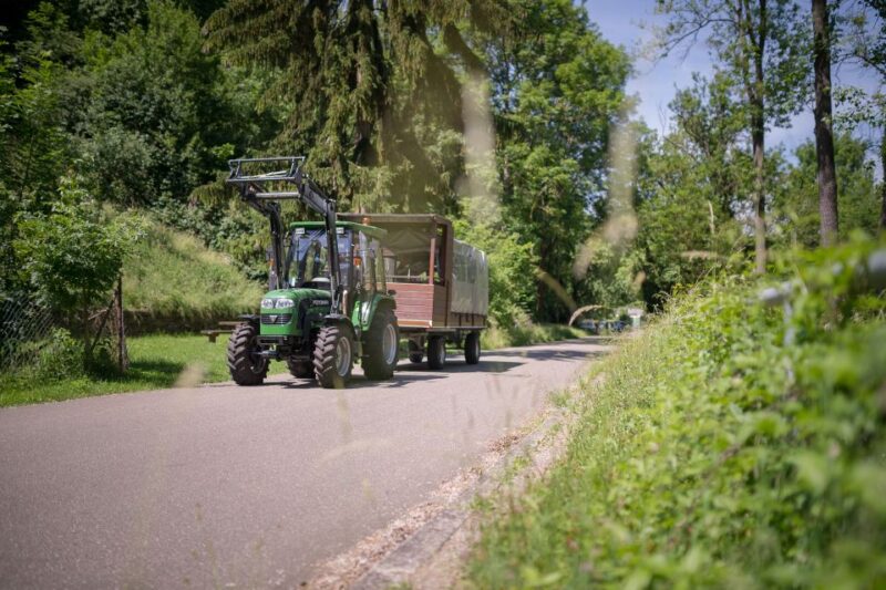 Stuttgart: Vineyard Tour by Covered Wagon - Highlights of the Experience