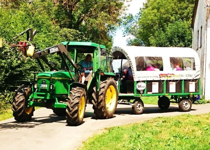 Stuttgart: Vineyard Tour by Covered Wagon - Booking Information