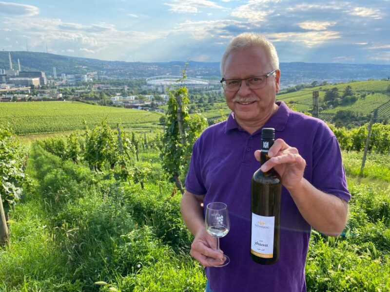 Stuttgart: Wine Tour With Wines of the Best Winemakers - Pricing Details