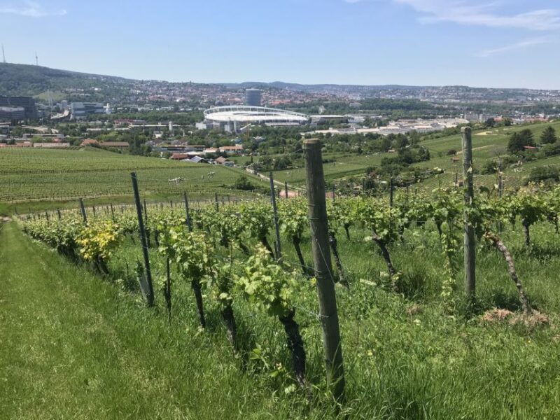 Stuttgart: Wine Tour With Wines of the Best Winemakers - Highlights of the Tour