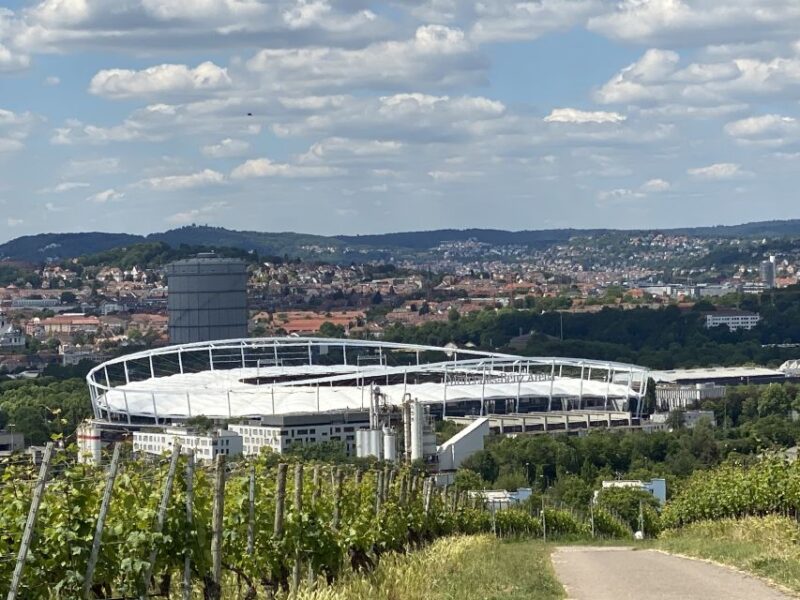 Stuttgart: Wine Tour With Wines of the Best Winemakers - Wine Tasting Experience