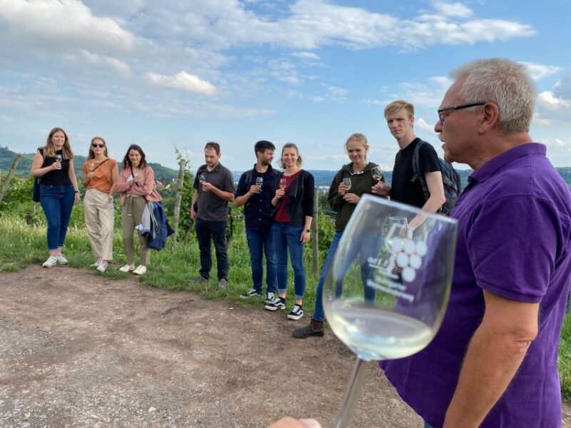 Stuttgart: Wine Tour With Wines of the Best Winemakers - Meeting Point and Accessibility