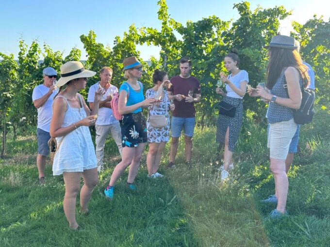Stuttgart: Wine Tour With Wines of the Best Winemakers - Frequently Asked Questions