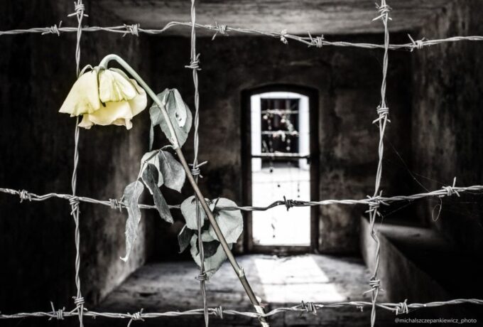 Stutthof Concentration Camp Half-Day Private Tour - Museum Exhibits and Monuments