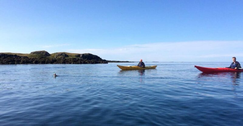 Stykkishólmur: 2-Hour Sea Kayak Tour - Key Points