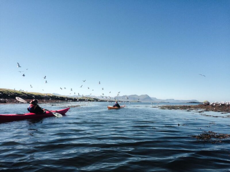 Stykkishólmur: 2-Hour Sea Kayak Tour - Tour Itinerary