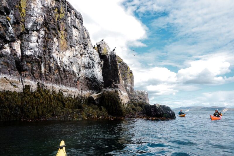 Stykkishólmur: 2-Hour Sea Kayak Tour - Pricing and Availability