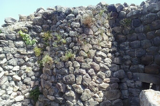Su Nuraxi of Barumini World Heritage UNESCO Site Tour - Discovering the Nuragic Civilization