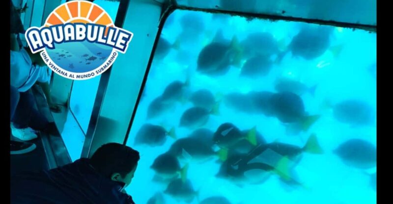Submarine: Aquabulle Los Cabos - Boat Features