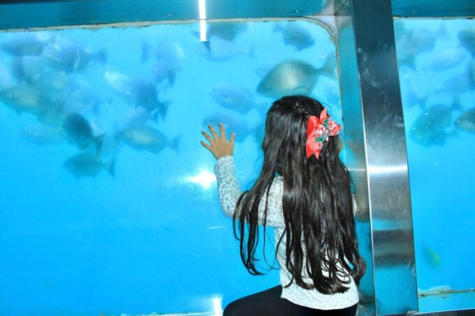 Submarine: Aquabulle Los Cabos - Meeting Point and What to Bring