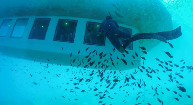 Submarine Cruise With Underwater Views From Rhodes - Customer Feedback