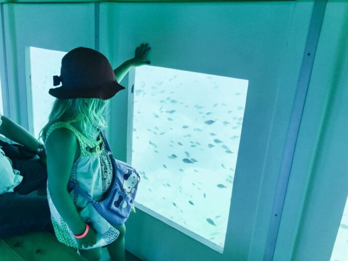 Submarine Cruise With Underwater Views From Rhodes - Explore the Underwater World