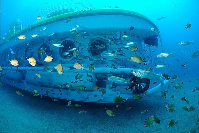 Submarine Safaris Lanzarote - Free Time in Puerto Calero