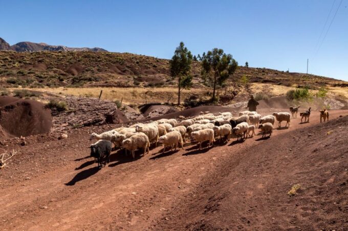 Sucre: 3 Days Trek in Inca Trails and the Crater De Maragua - Visit Dinosaur Footprints and Chullpas