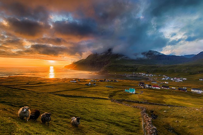 Súðuroy Island Day Tour, Faroe Islands - Meeting and Pickup