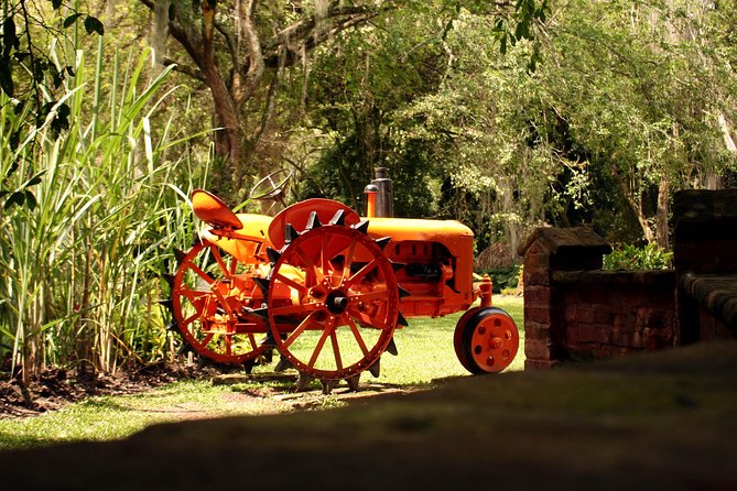 Sugar Cane Museum and Hacienda La María - Recommended Attire and Supplies